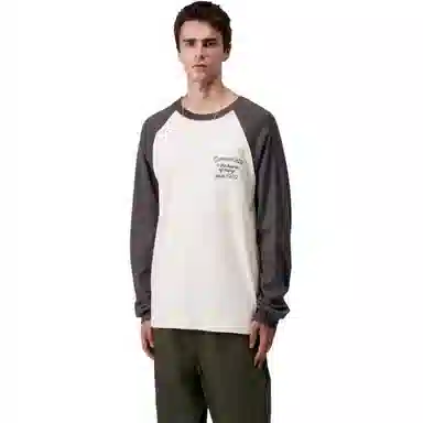Carhartt WIP FW25 LS Alston T-Shirt T