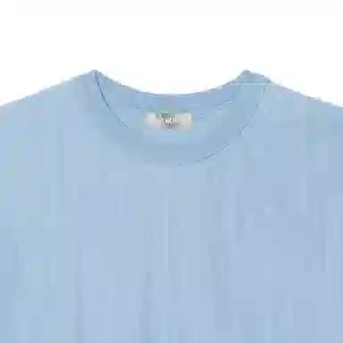 DIOR FW25 T