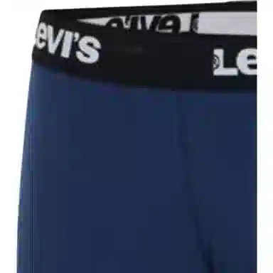 levis 2