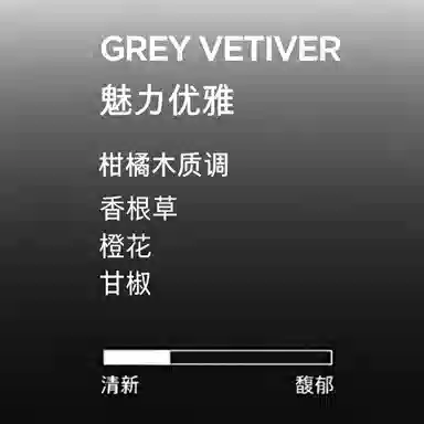 Tom Ford Grey Vetiver