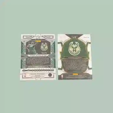 PANINI 2022-23 6175 +select 5275