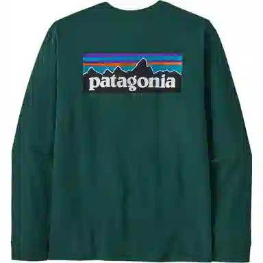 Patagonia P-6 Responsibili Tee