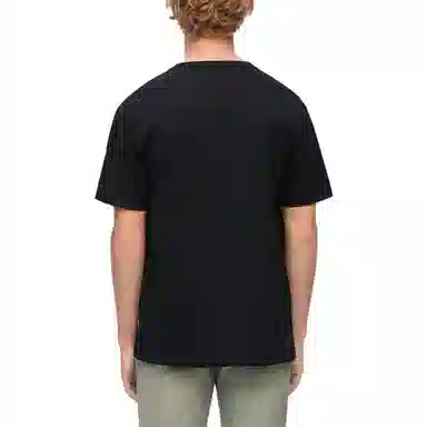 LOEWE T