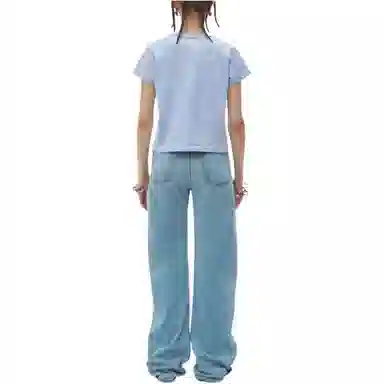 alexander wang FW24 T