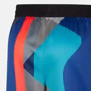 Nike x Kaws Dri-Fit Brooklyn Nets 2023/24 City Edition Shorts