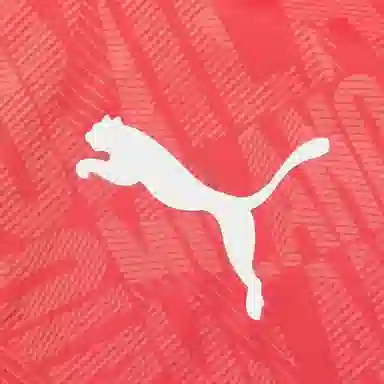 Puma Ac Milan Football Hoodie Jacket Men's Orange Red