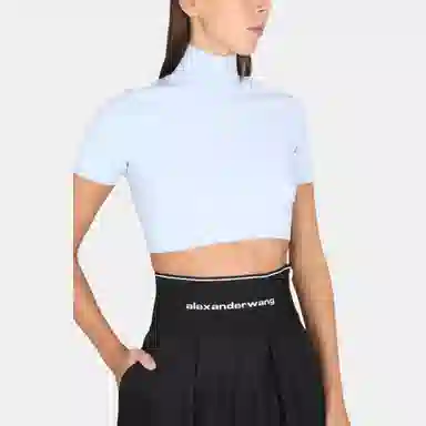 alexander wang T