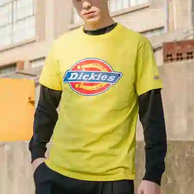 Dickies LogoT