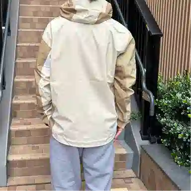 Arcteryx x beams Beta