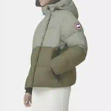 Canada Goose Junction