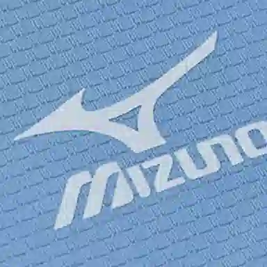 Mizuno T