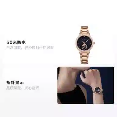 Sea-Gull 310.15.1136L