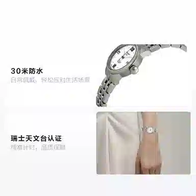 Tissot Le Locle T41.1.183.16