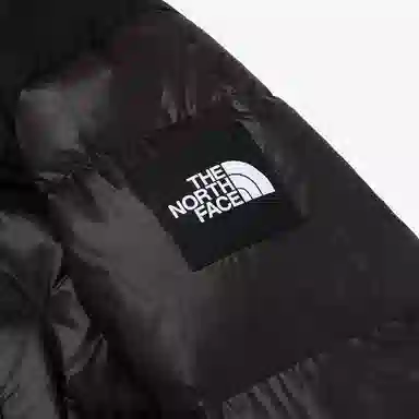 THE NORTH FACE W's Novelty Nuptse Down Jacket