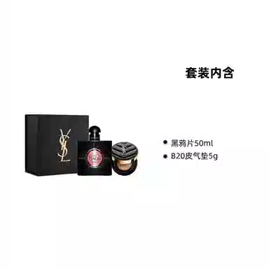 YSL B205g