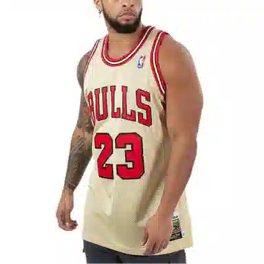 Mitchell Ness NBA AU 1995-96