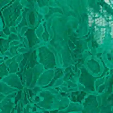 Victoria's Secret Logo