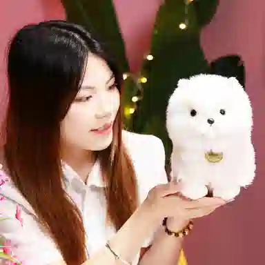 pom 23cm