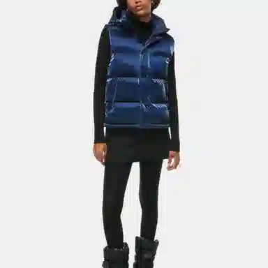 Aritzia Super Puff Liquid Shine