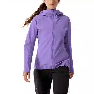 Arcteryx Gamma Hoody