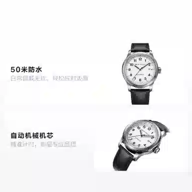 Sea-Gull 819.13.6081