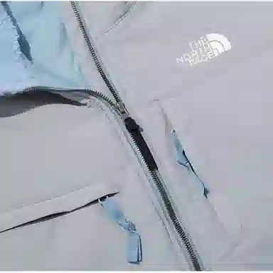 The North Face Fleece Jacket Blue