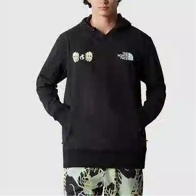 THE NORTH FACE TEKNO LOGO HOODIE Logo