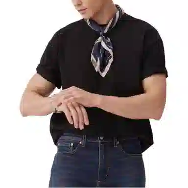 levis T