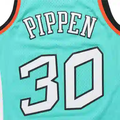 Mitchell Ness SW 1996