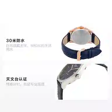 Longines L4.961.4.92.2