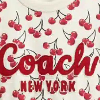 COACH FW24T