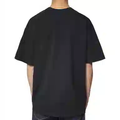 THE NORTH FACE T