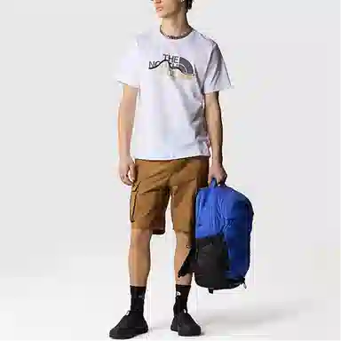 THE NORTH FACE MOUNTAIN LINE T LogoT