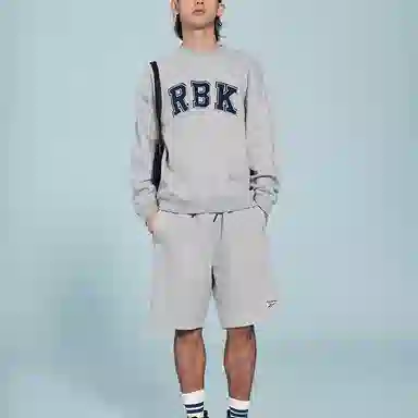 Reebok Embroidered Pullover Sweatshirt Light Heather Gray