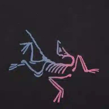 Arcteryx Kragg cottonT