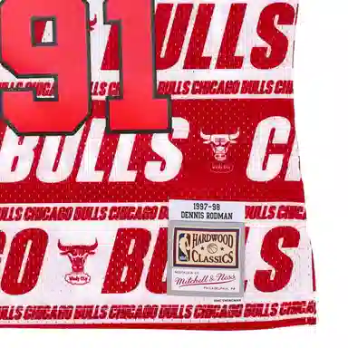 Mitchell Ness 91
