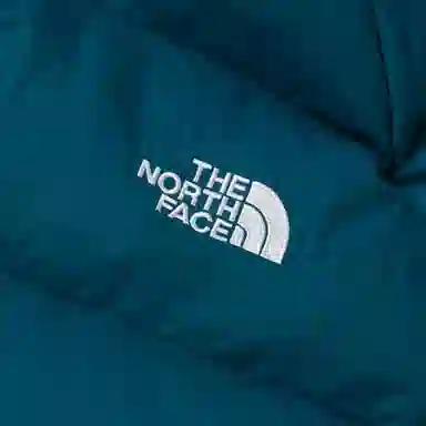 THE NORTH FACE Hydrenalite Logo