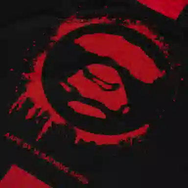 Aape FW24 T