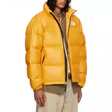 THE NORTH FACE 1996Nuptse Logo