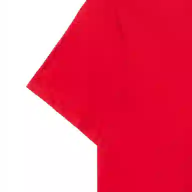Polo Ralph Lauren LogoT