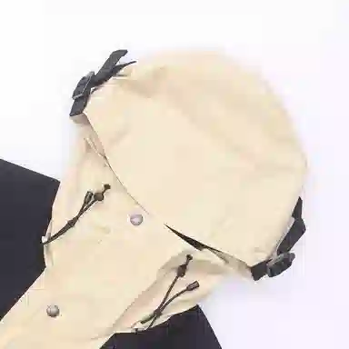 The North Face 1990 GTX Mountain Jacket