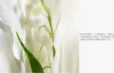 DIOR 10ml10ml*210ml*310ml*510ml*8