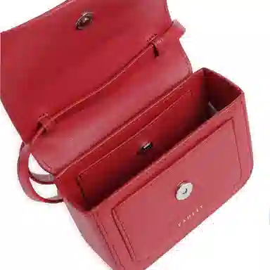 RADLEY MINI FLAPOVER CROSSBODY