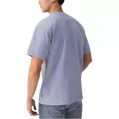 levis logoT