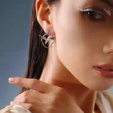 WEALTHYBOO Guangyou Copper Earrings