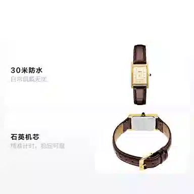 SEIKO Essentials 30 18.9mm SWR066