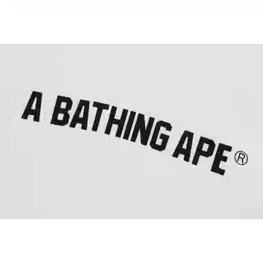 A BATHING APE Hoodie