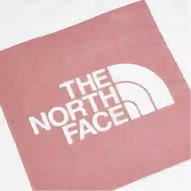 THE NORTH FACE T