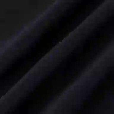 Alexander McQueen SS21