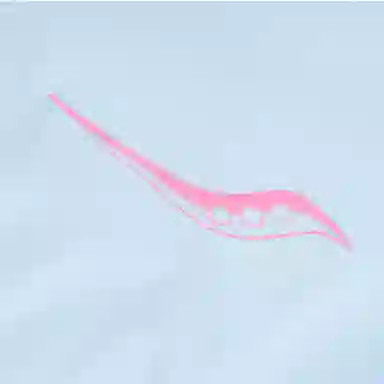 saucony Logo